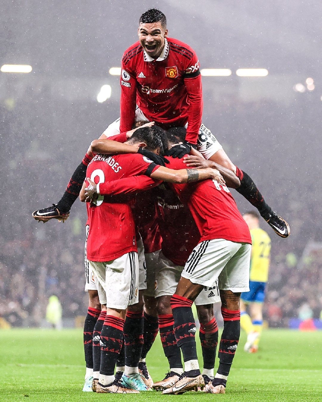 们提供了资 们提供了资