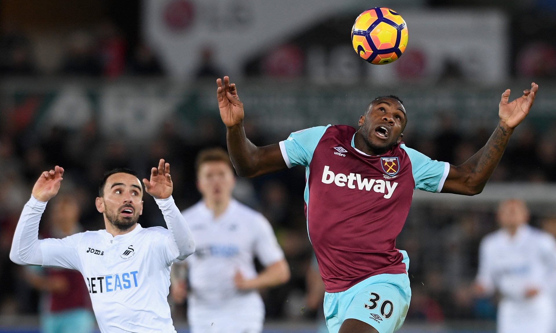 保护投资者 保护投资者